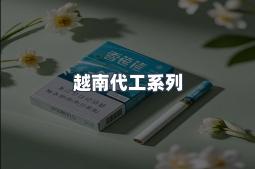 越南代工系列